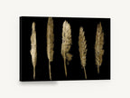 Five Gold Quills, gold feathers on black illustration, animal canvas wall art print ready to hang