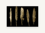 Five Gold Quills, gold feathers on black illustration, animal canvas wall art print, front view