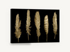 Five Gilded Feathers, gold feathers on black illustration, animal canvas wall art print ready to hang