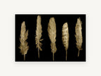 Five Gilded Feathers, gold feathers on black illustration, animal canvas wall art print, front view
