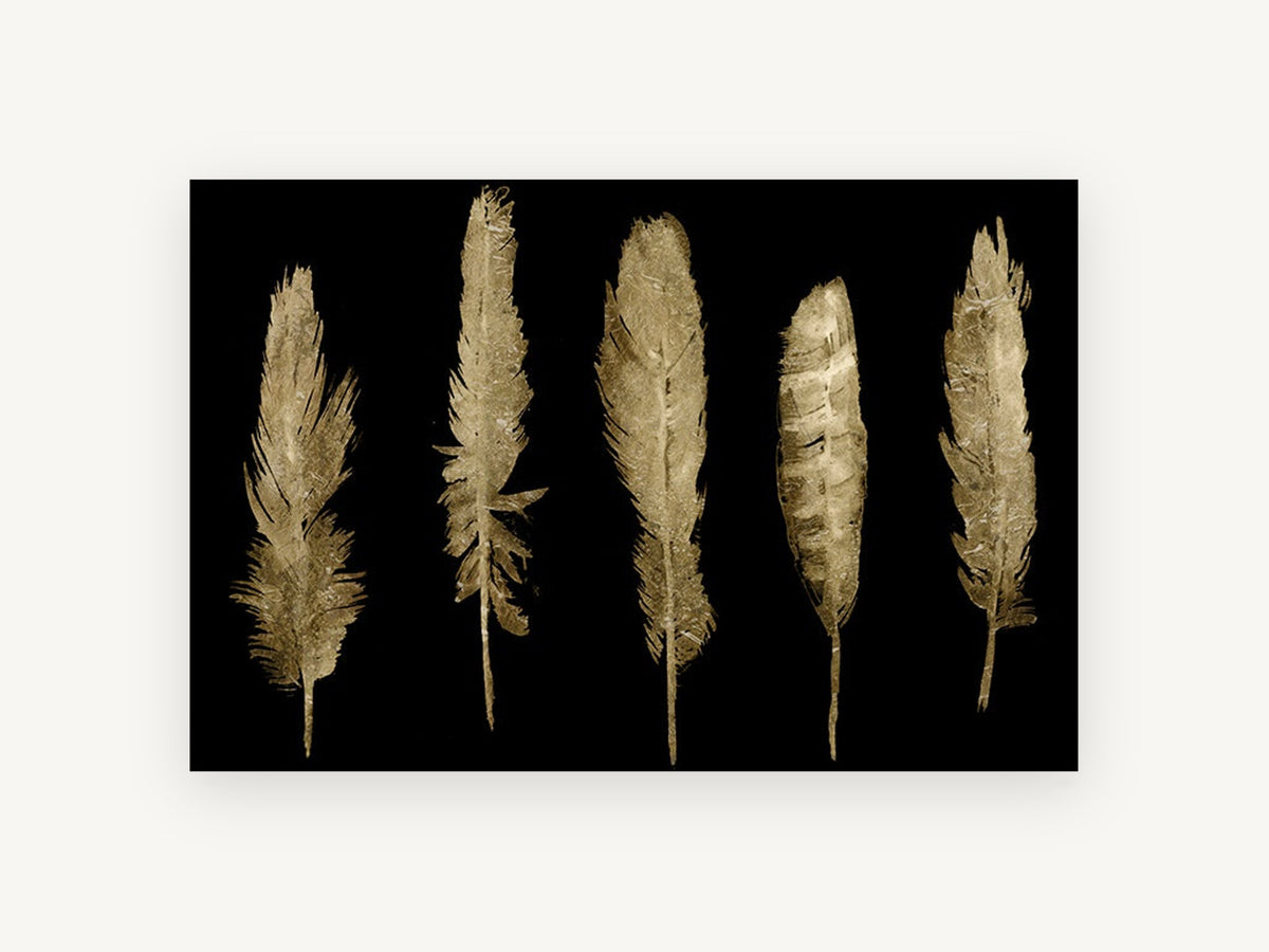 Five Gilded Feathers, gold feathers on black illustration, animal canvas wall art print, front view