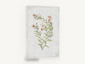 Coral Sprig Study, coral pink wildflower botanical illustration, floral canvas wall art print ready to hang