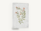 Coral Sprig Study, coral pink wildflower botanical illustration, floral canvas wall art print ready to hang