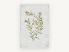 Coral Sprig Study, floral canvas wall art print, front view