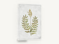 Flowering Fern Study, flowering fern botanical illustration, floral canvas wall art print ready to hang