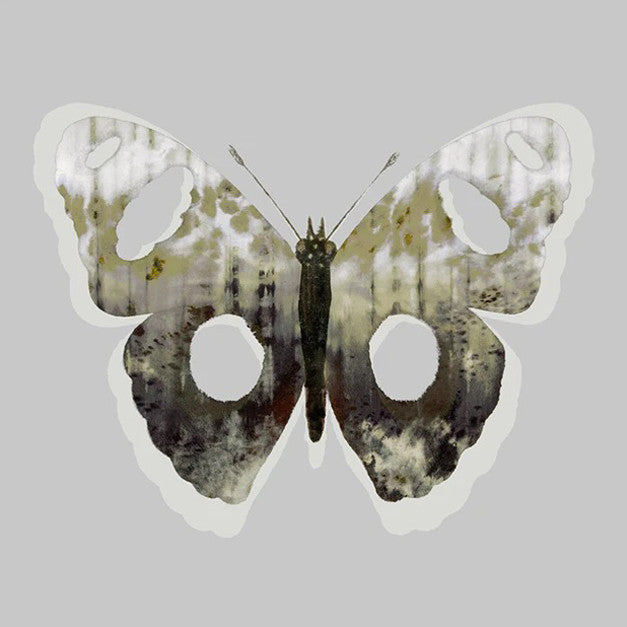 Painted Butterfly II Wall Art Print