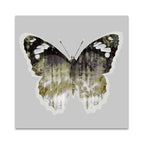 Painted Butterfly I Wall Art Print 
