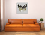 Painted Butterfly I Wall Art Print on the wall