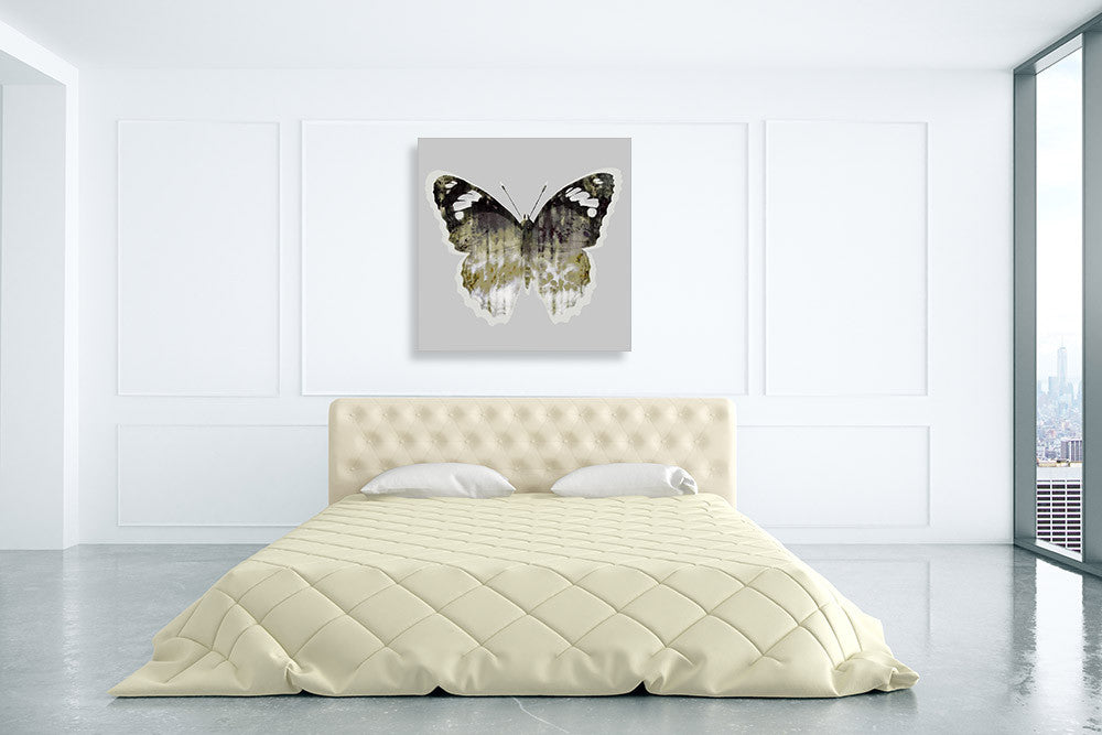Painted Butterfly I Wall Art Print on the wall