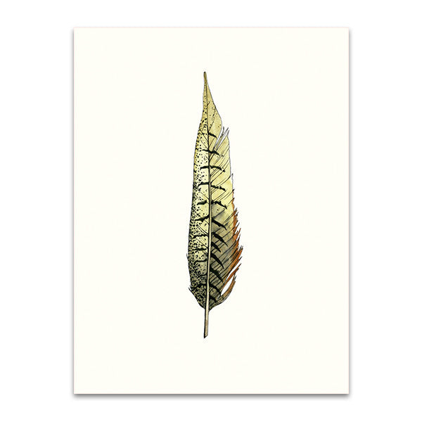 Painted Feather A Wall Art Print 