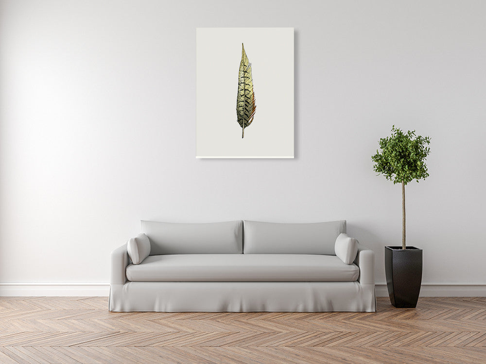 Painted Feather A Wall Art Print on the wall