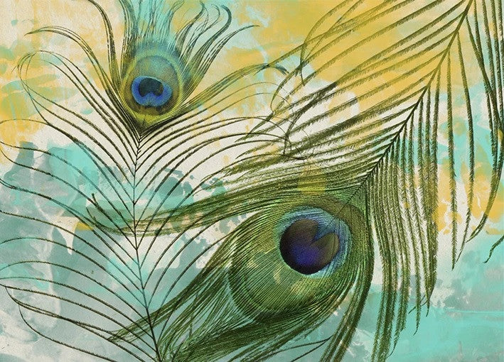 Painted Peacock Wall Art Print