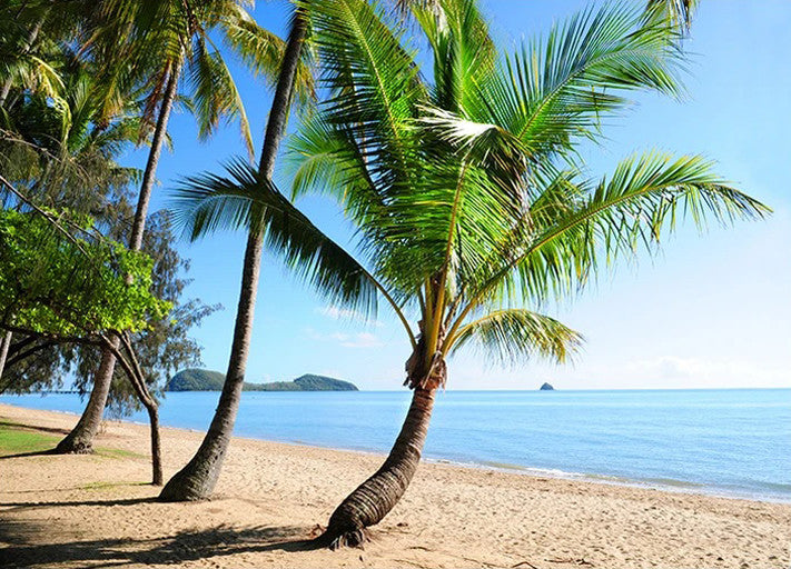 Palm Cove Beach Australia Wall Print