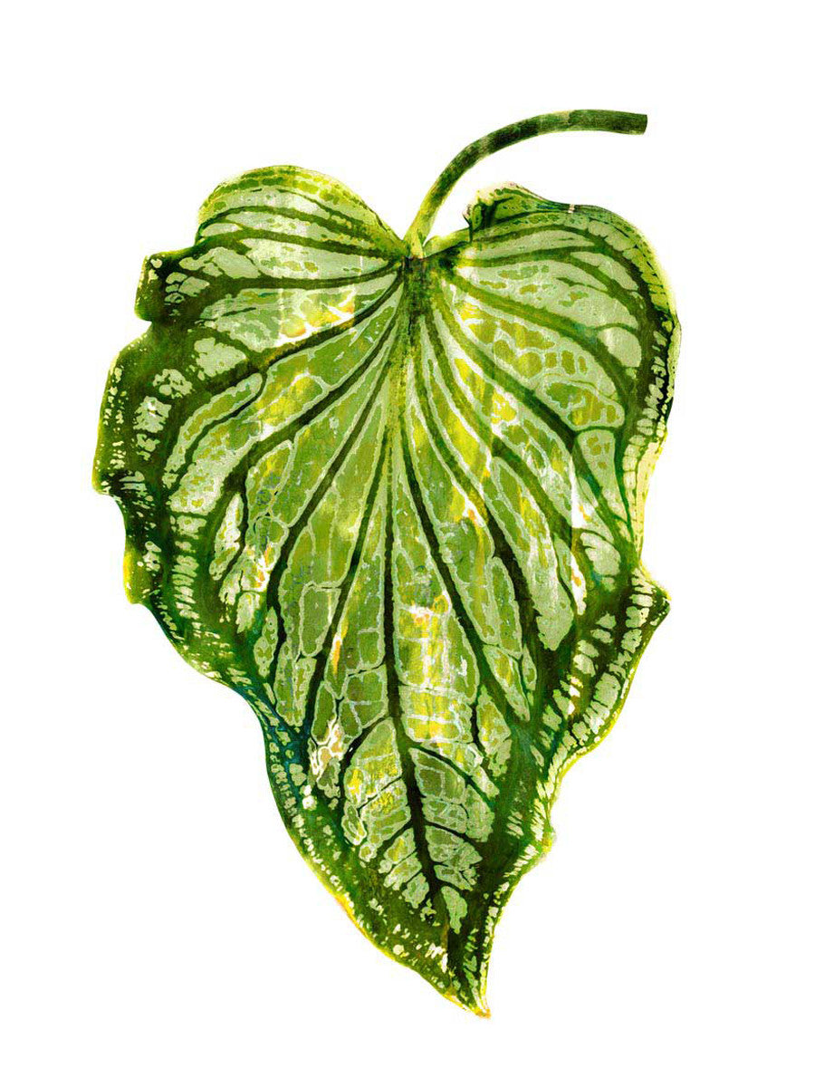 Palm III Wall Art Print