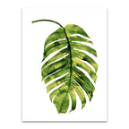 Palm II Wall Art Print