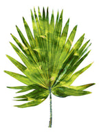 Palm IV Wall Art Print