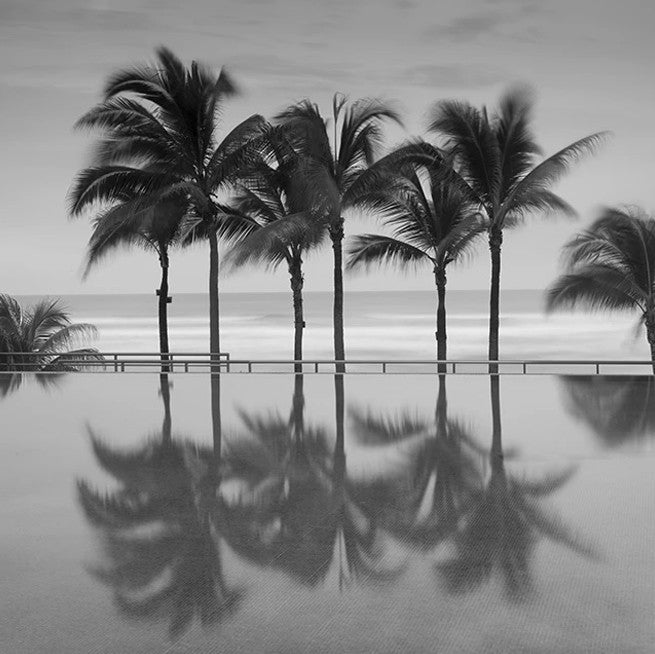 Palm Trees Serenity Wall Art Print