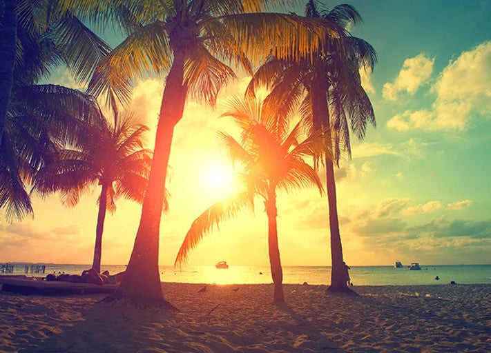 Palm Trees Sunset Wall Art Print