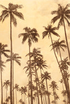 Palm Vista VI Wall Art Print