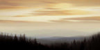 Panorama II Wall Art Print