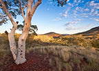 Pilbara Western Australia Wall Art Print