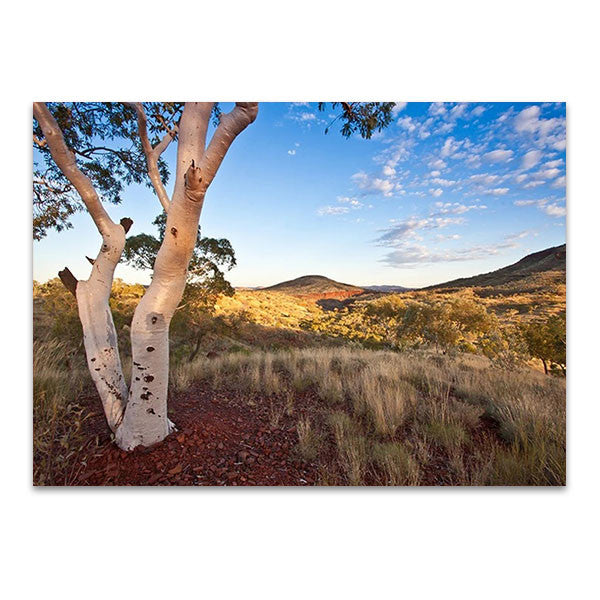 Pilbara Western Australia Wall Art Print