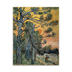 Pine Trees