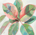 Pink Ficus II Wall Art Print
