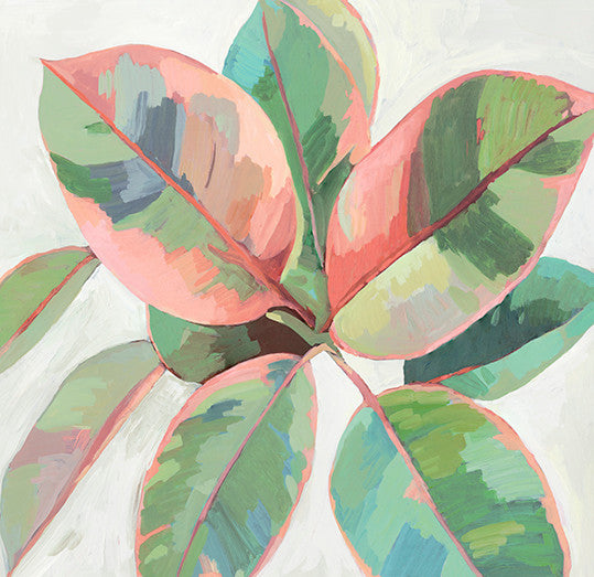 Pink Ficus II Wall Art Print