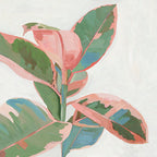Pink Ficus I Wall Art Print