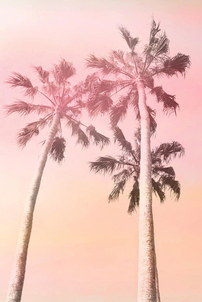 Pink Sunset II Wall Art Print