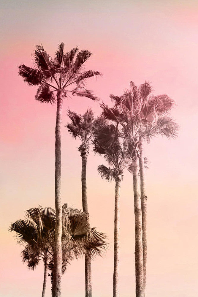 Pink Sunset I Wall Art Print