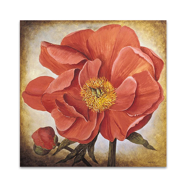 Poppy II Wall Art Print 