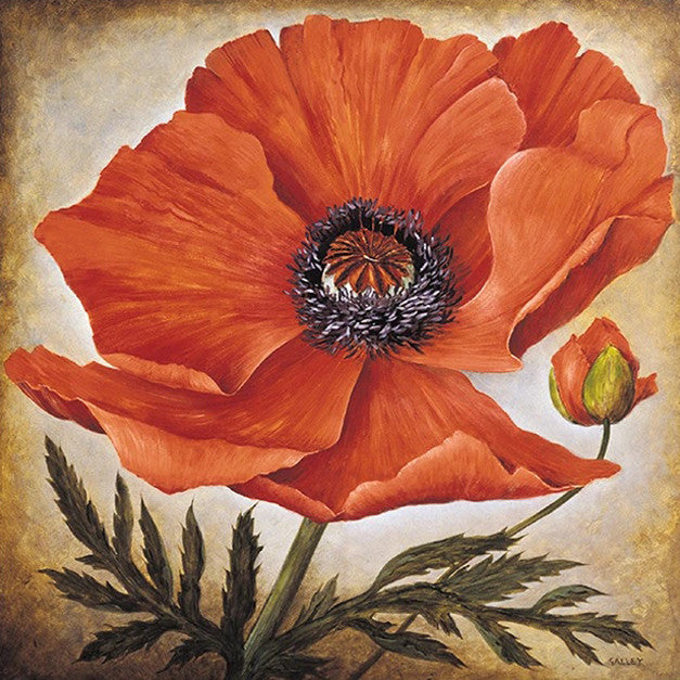 Poppy I Wall Art Print