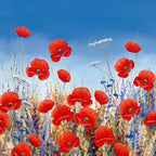 Poppy Meadow II Wall Art Print 
