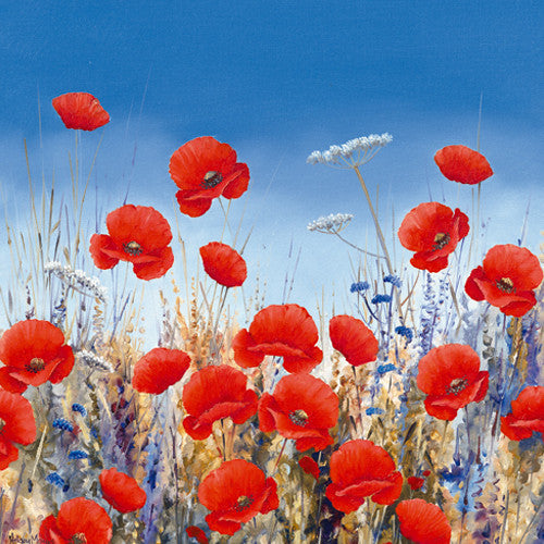 Poppy Meadow II Wall Art Print 