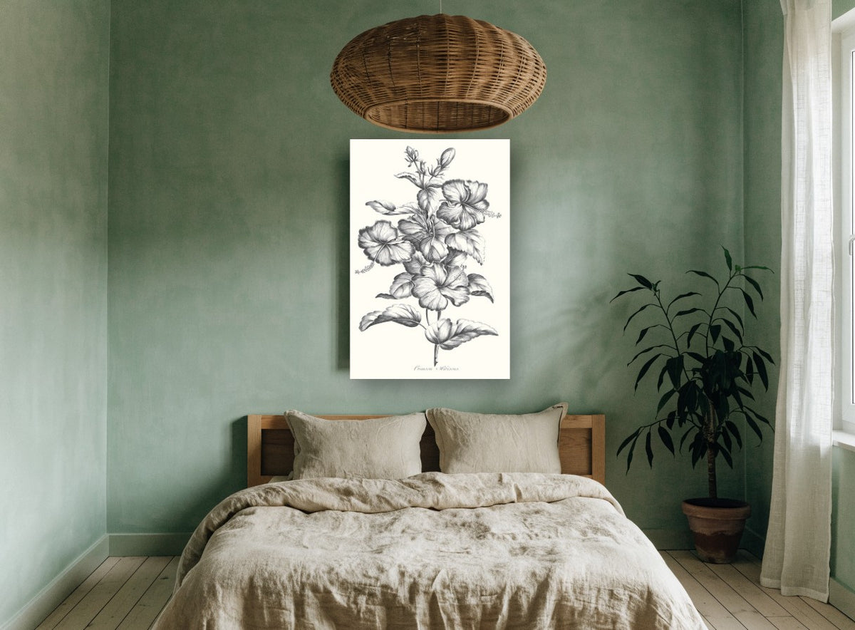 Graphite Hibiscus Study floral canvas print on the wall of a bedroom