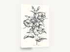 Graphite Hibiscus Study, black and white hibiscus botanical illustration, floral canvas wall art print ready to hang