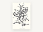 Graphite Hibiscus Study, floral canvas wall art print, front view