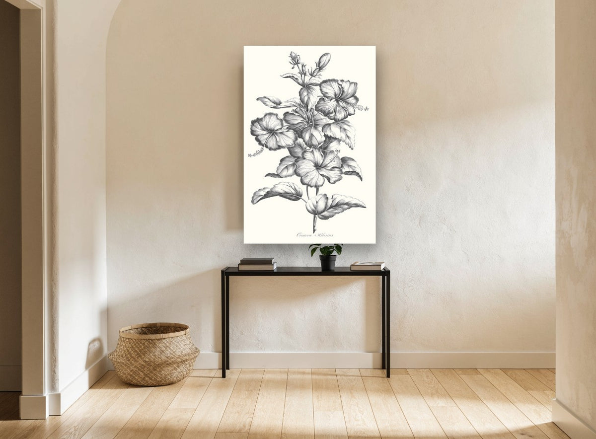 Graphite Hibiscus Study floral canvas print on the wall of a hallway