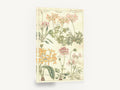 Pelargonium Plate Study, pelargonium botanical illustration vintage plate, floral canvas wall art print ready to hang