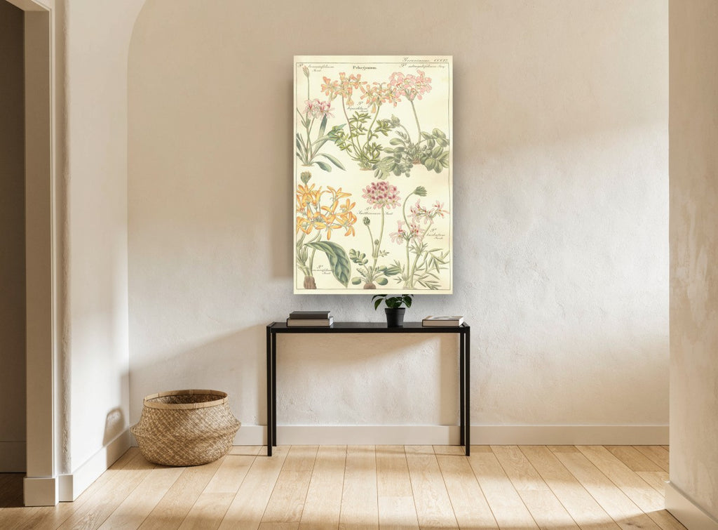Pelargonium Plate Study floral canvas print on the wall of a hallway