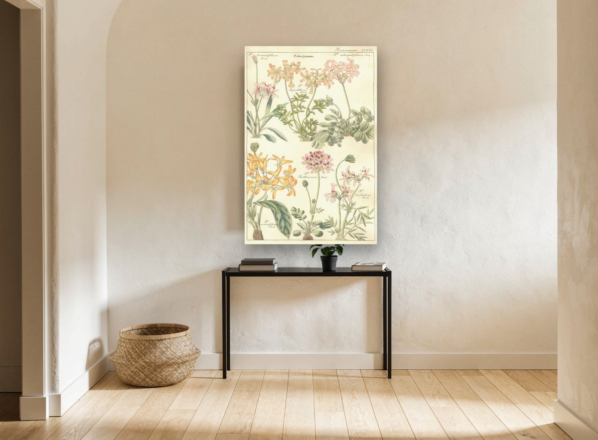 Pelargonium Plate Study floral canvas print on the wall of a hallway