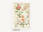Pelargonium Plate Study, vintage pelargonium botanical illustration, floral canvas wall art print ready to hang