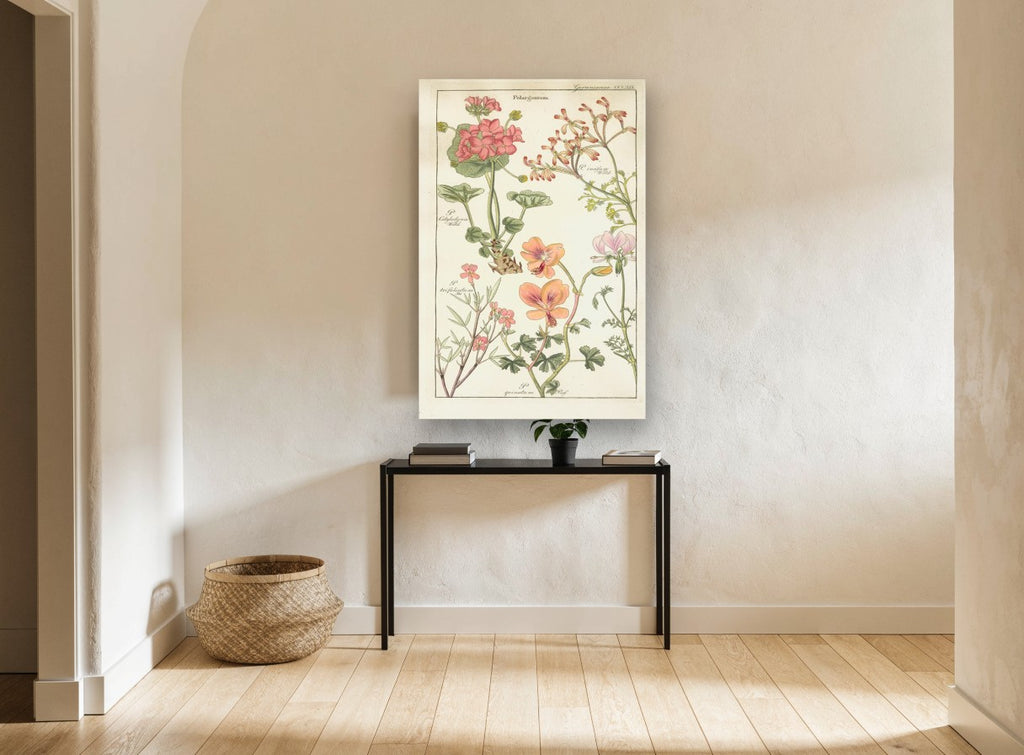 Pelargonium Plate Study floral canvas print on the wall of a hallway