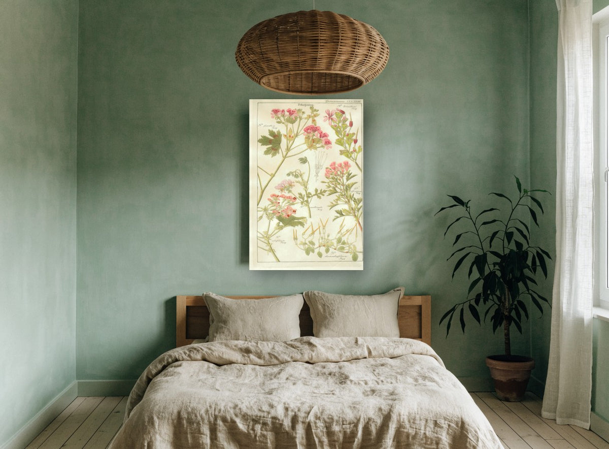 Pelargonium Plate Study floral canvas print on the wall of a bedroom