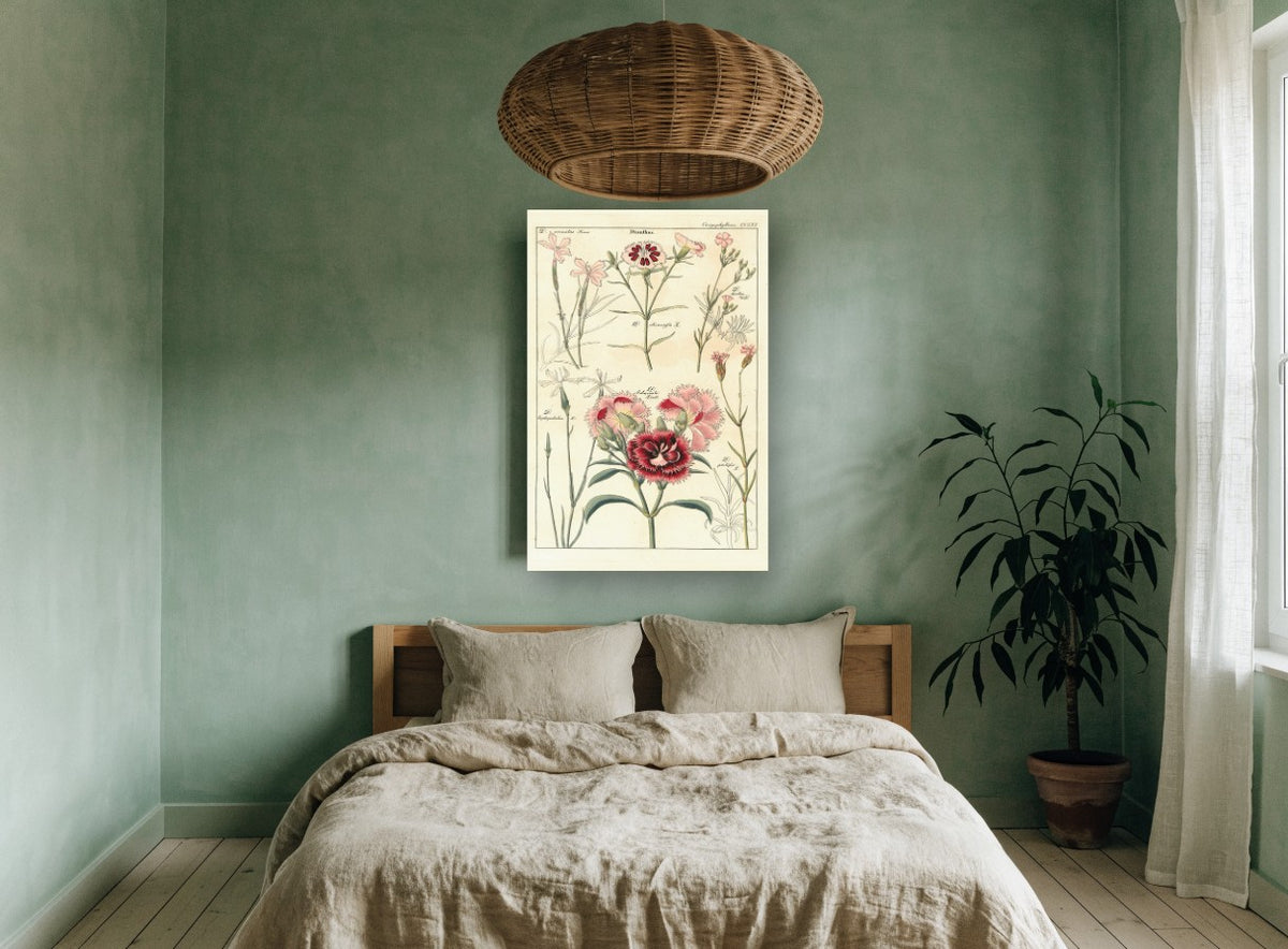 Pink Dianthus Study floral canvas print on the wall of a bedroom