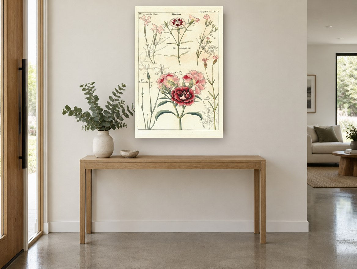 Pink Dianthus Study floral canvas print on the wall of a entry hall