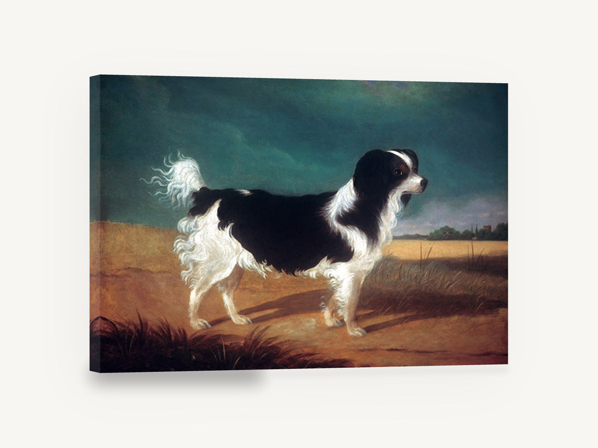 Spaniel in the Wheat Field, vintage king charles spaniel portrait, animal canvas wall art print ready to hang