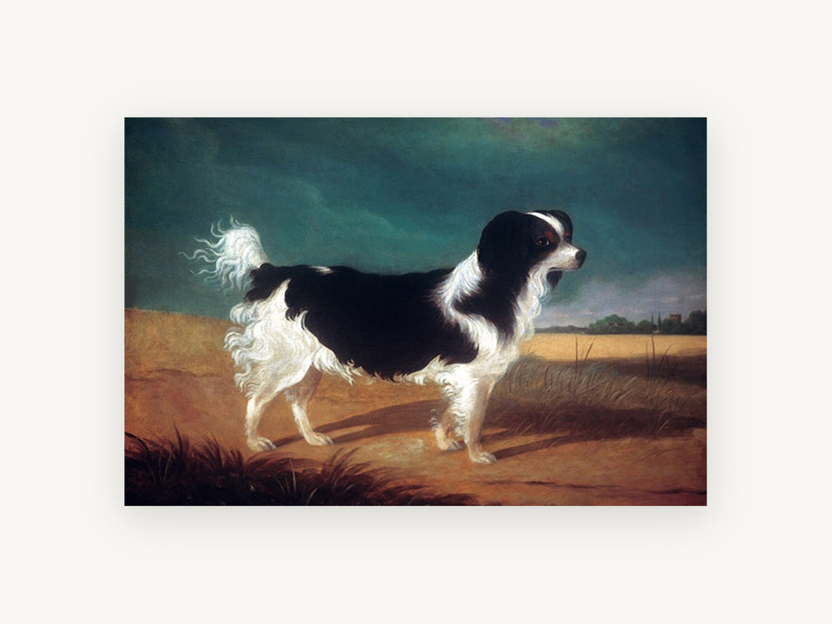 Spaniel in the Wheat Field, vintage king charles spaniel portrait, animal canvas wall art print, front view